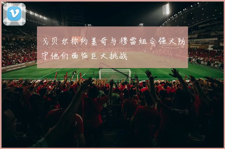 戈贝尔称约基奇与穆雷组合强大防守他们面临巨大挑战
